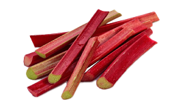 Kitajska rabarbara