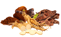 Bio-adaptogene Kräuter