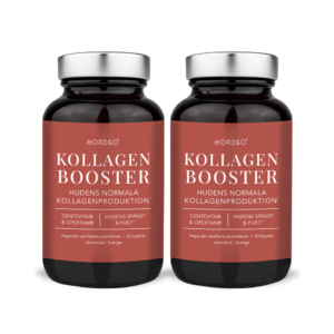 Paket Kollagen Booster
