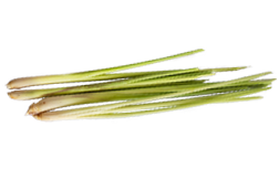 Natürliches Aroma von Zitronengras