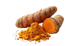HydroCurc® Curcumin