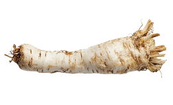 Koreanischer Roter Ginseng
