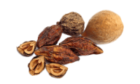 nordbo-mage-sestavine-triphala-vitaminklinik